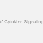 Human Suppressors Of Cytokine Signaling 3 (SOCS3) ELISA Kit